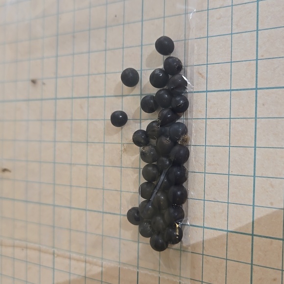 Canna seed st1-st8 - Picture 2 of 6